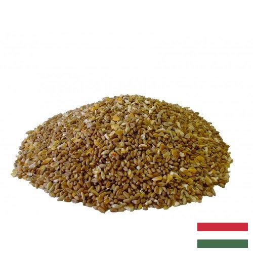 Корма для птицы из Венгрии