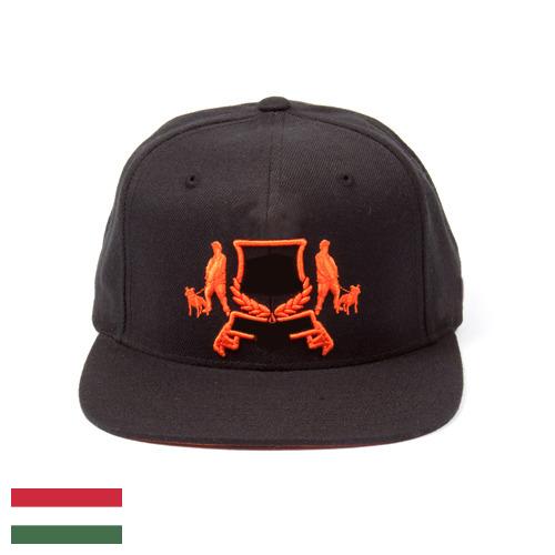 Козырьки из Венгрии