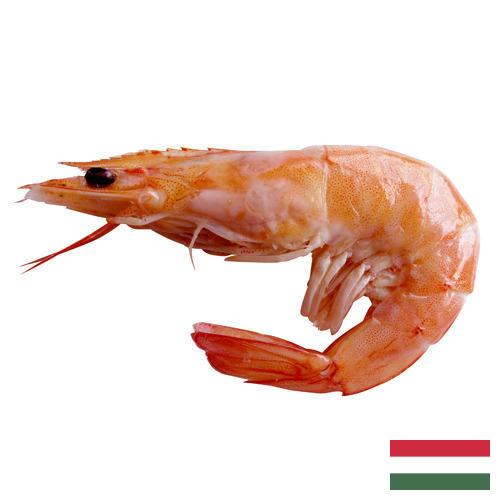 Креветки из Венгрии
