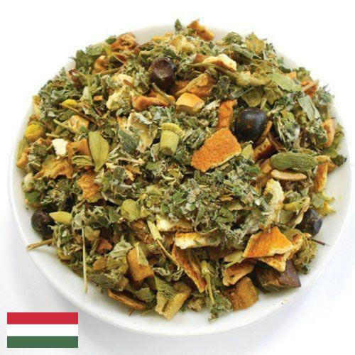 Лекарственные травы из Венгрии