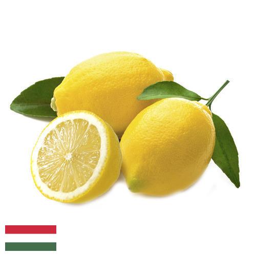 лимон свежий из Венгрии