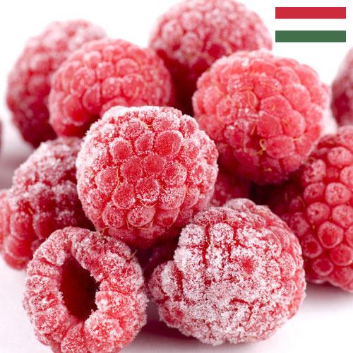 малина замороженная из Венгрии