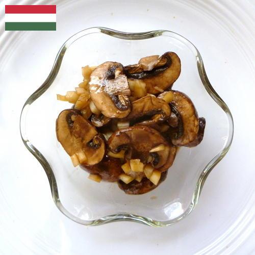 Маринованные грибы из Венгрии