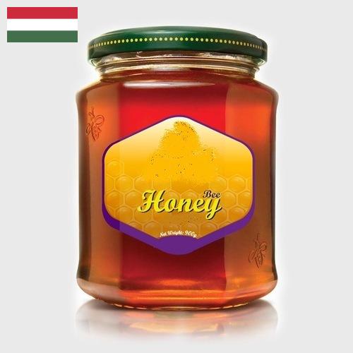 мед натуральный из Венгрии