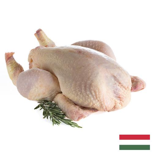 мясо птицы тушка из Венгрии