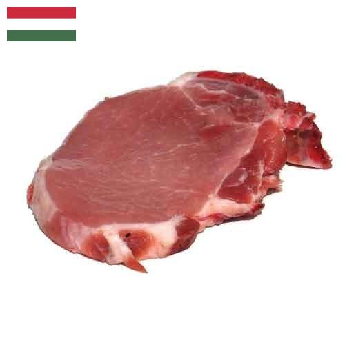 мясо свинина из Венгрии