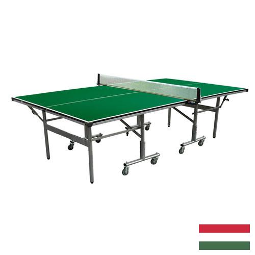 Настольный теннис из Венгрии