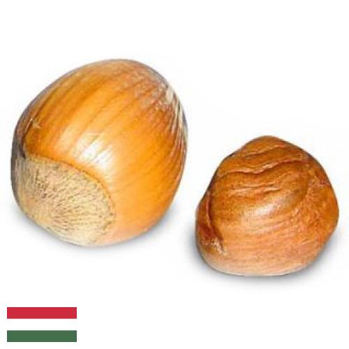 орех фундук из Венгрии