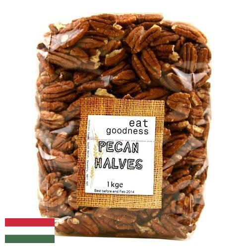 Орехи пекан из Венгрии