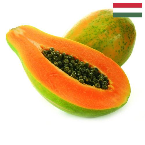 Папайя из Венгрии