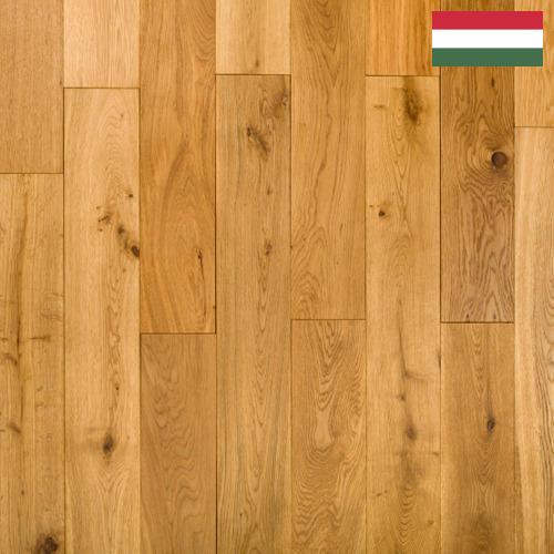 паркет дуб из Венгрии