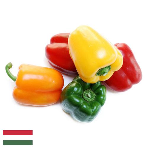 перец болгарский свежий из Венгрии