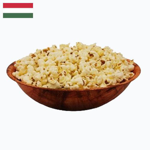 Попкорн из Венгрии