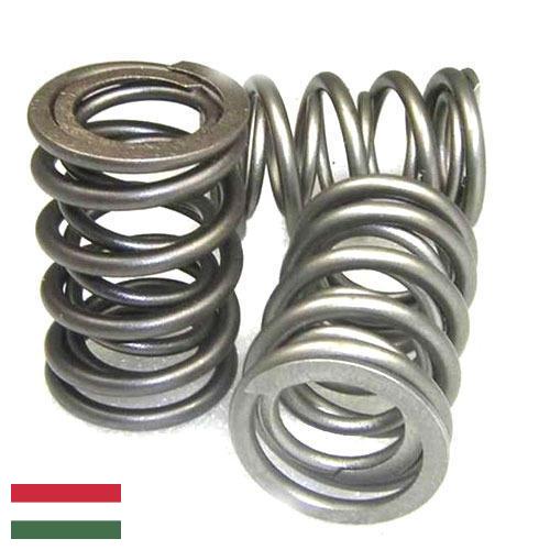Пружина клапана из Венгрии