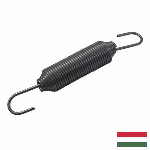 Пружина возвратная из Венгрии