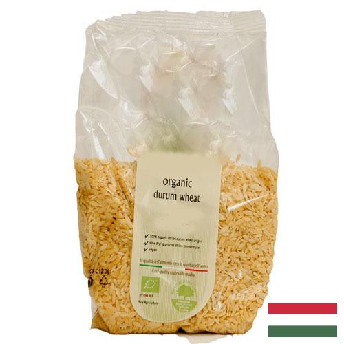пшеница твердая из Венгрии