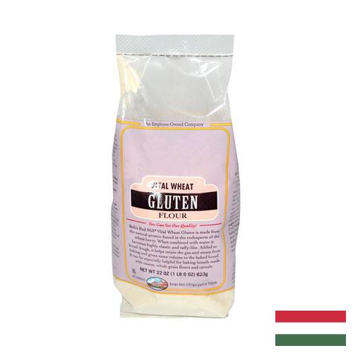 Пшеничная клейковина из Венгрии
