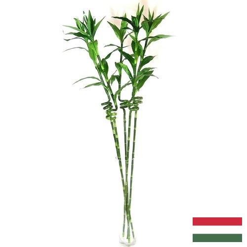 Растения искусственные из Венгрии