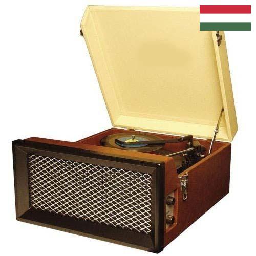 рекордер из Венгрии