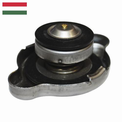 Решетка радиатора из Венгрии