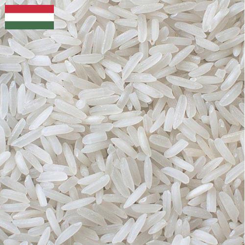 рис длиннозерный из Венгрии