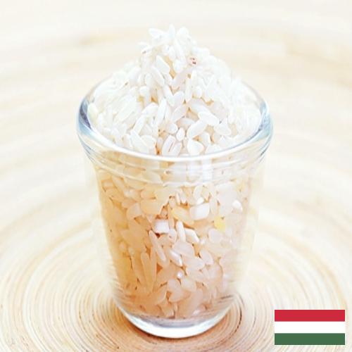 рис шлифованный из Венгрии