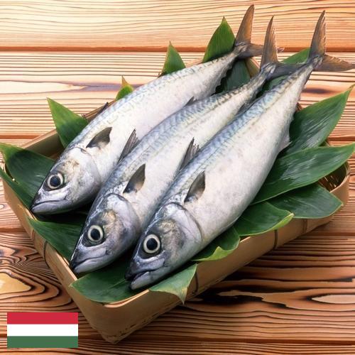 рыба свежая из Венгрии