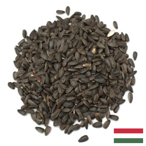 Семена цветов из Венгрии