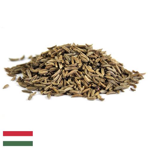 Семена фенхеля из Венгрии