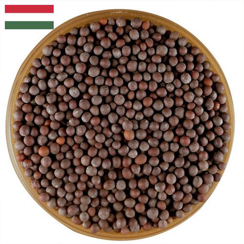 семена горчица из Венгрии