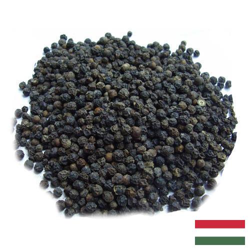 Семена перца из Венгрии