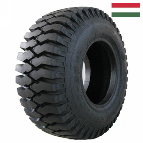 шины для грузовых автомобилей из Венгрии