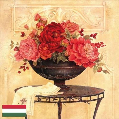 Шторы декоративные из Венгрии