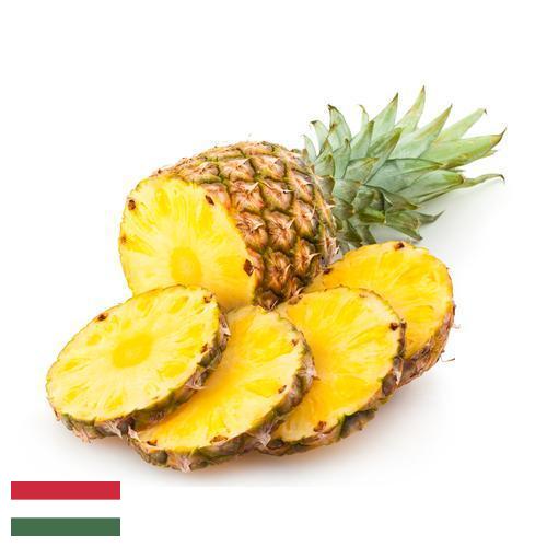 сок ананасовый из Венгрии