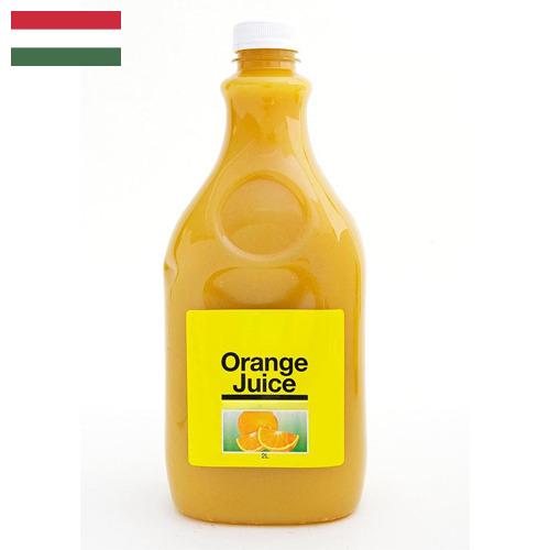 Сок апельсиновый из Венгрии