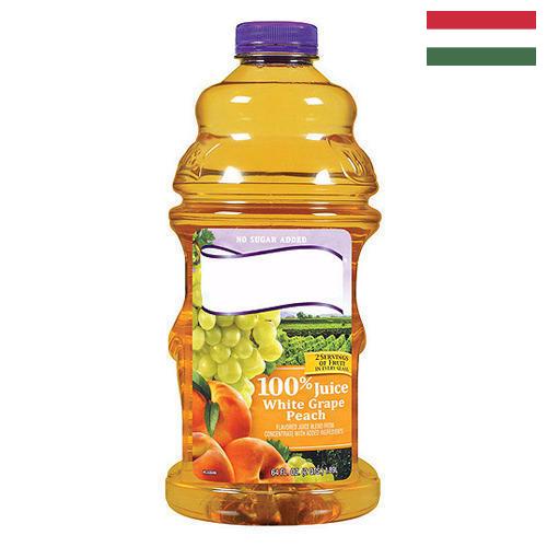 Сок персиковый из Венгрии