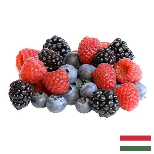 сублимированные ягоды из Венгрии