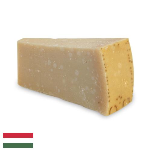 сыр пармезан из Венгрии