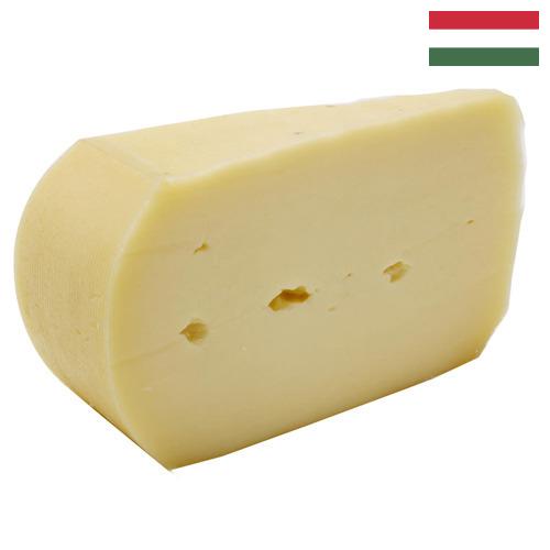 Сыры полутвёрдые из Венгрии