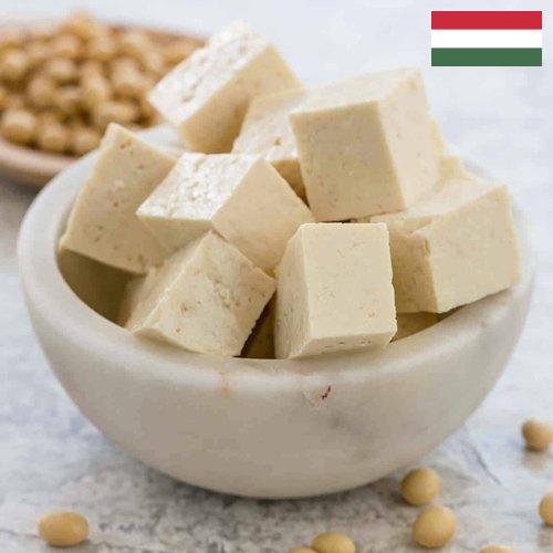 тофу из Венгрии