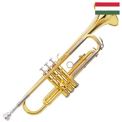 Труболовка из Венгрии