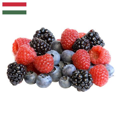Ягоды замороженные из Венгрии