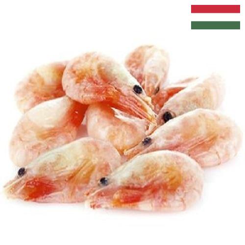 замороженные креветки из Венгрии