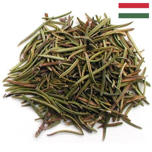 зелень сушеная из Венгрии