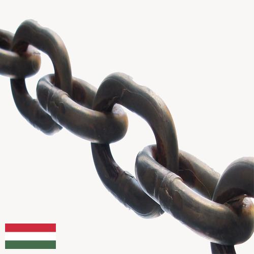 Звенья цепей из Венгрии