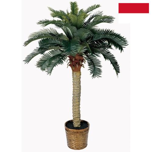 Деревья искусственные из Индонезии