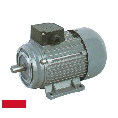 Электродвигатели из Индонезии