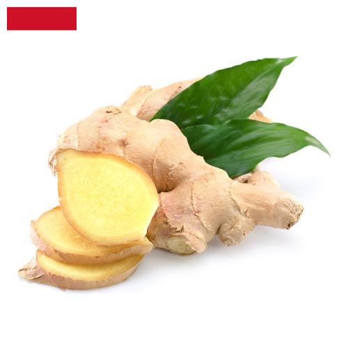 Имбирь из Индонезии