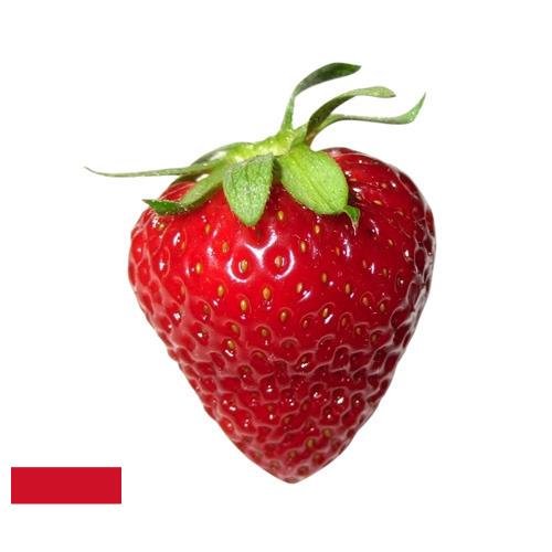 Клубника из Индонезии