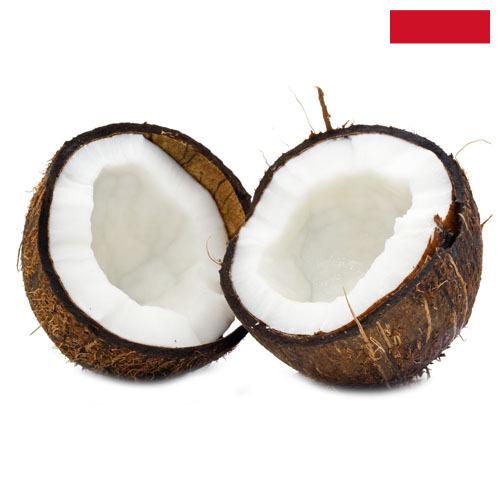 Кокосы из Индонезии